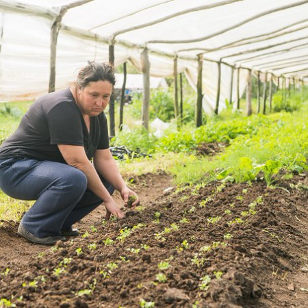 Mujeres rurales: trabajo doble, reconocimiento mínimo