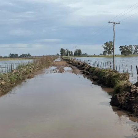 CARBAP renovó su reclamo por los caminos rurales y denunció abandono estatal