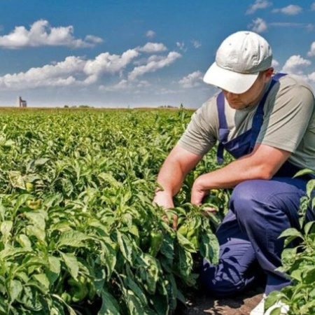 CAME celebró la prórroga del decreto que compatibiliza planes sociales con trabajo rural