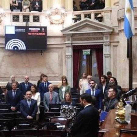 EN VIVO: el Senado debate los vetos de Milei a universidades y emergencia pediátrica