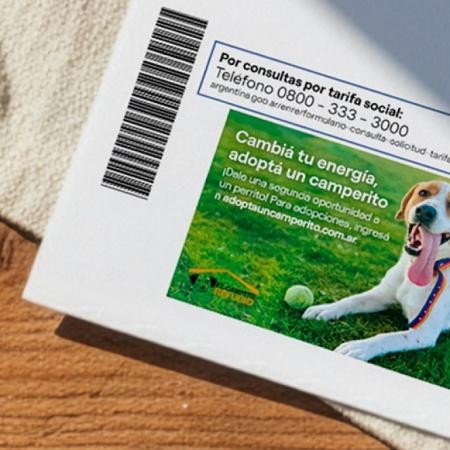 Una historia con final feliz: encontraron a su perro gracias a la factura de luz