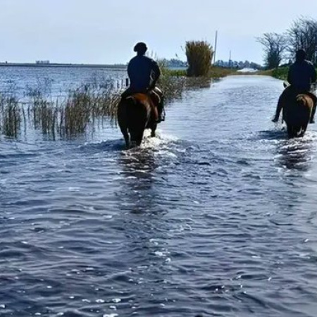 Provincia exime del Impuesto Rural a productores de 19 distritos afectados por las inundaciones