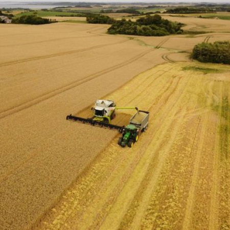 ARBA prorrogó los vencimientos del Inmobiliario Rural hasta el 18 de diciembre