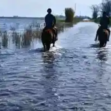 CARBAP alerta que las pérdidas rurales impactarán en la economía nacional