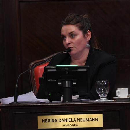 Un paso hacia la regularización: Neumann presentó proyecto para la histórica Villa Caballero de Monte Hermoso