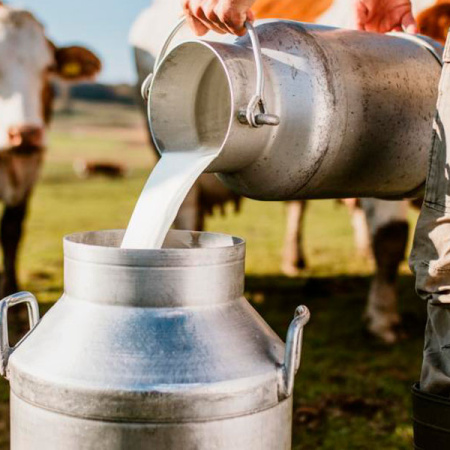 Cooperativas lácteas en acción: se viene la Expo Coopelac 2025