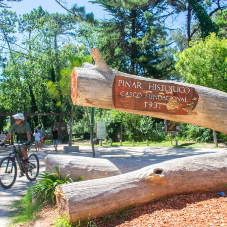 Avanza la restitución de los pinares fundacionales a Villa Gesell