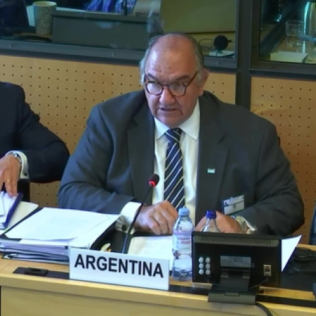 Argentina en la ONU: el Gobierno responde con ataques ante denuncias de tortura y represión
