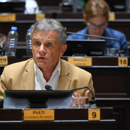 "No es integración: es subordinación": Pulti rechazó el acuerdo con Estados Unidos