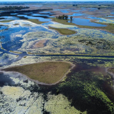 Seis millones de hectáreas bajo el agua: Buenos Aires enfrenta pérdidas por más de u$s2.000 millones