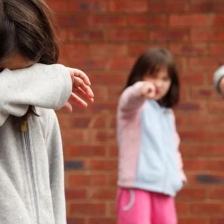 Piden relevar con urgencia los casos de violencia escolar en la provincia de Buenos Aires