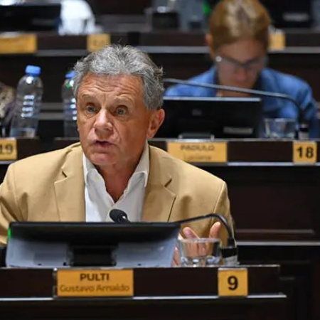 Recambio legislativo: con la salida de Pulti, La Cámpora suma una banca en Diputados