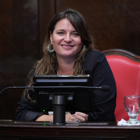 Reconocimiento a las enfermeras de Malvinas: avanza la ley en Buenos Aires