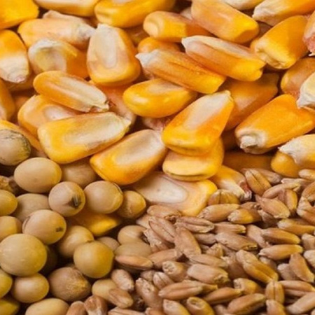 El Gobierno anunció una nueva baja en las retenciones para el campo