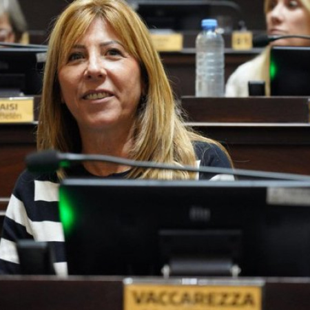 Códigos QR contra la violencia de género: proponen “Puntos Violetas Digitales” en la Provincia