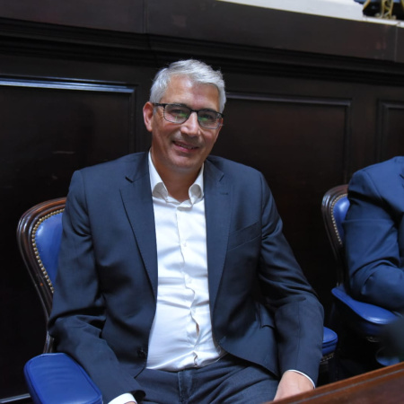 Reconocimiento legislativo: Puglelli, entre los diputados con mayor actividad en 2025