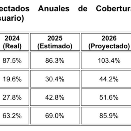 Subisdios energéticos en debate: Diputada cuestiona "impuesto encubierto" en factura de luz y gas