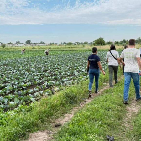 Alarma en el cinturón frutihortícola de La Plata: más del 90% del trabajo rural es informal