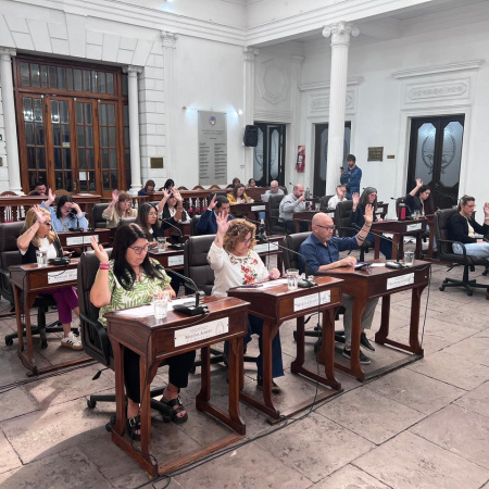 El Concejo de San Nicolás sancionó 56 ordenanzas con fuerte peso del Ejecutivo