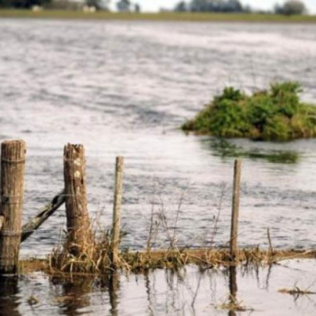 Emergencia extendida y alivio fiscal: la Provincia responde a las inundaciones rurales