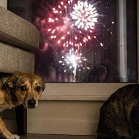 El ruido ya no es sinónimo de festejo