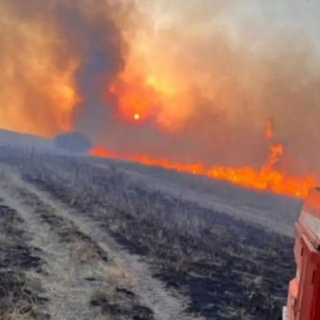 Productores bonaerenses en alerta por incendios rurales y pérdidas millonarias