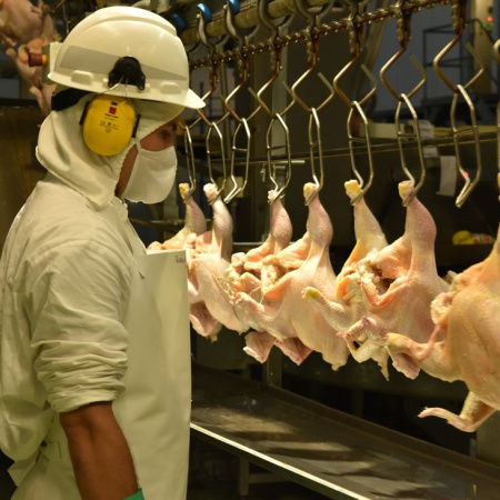 Gray y el olor que se naturalizó