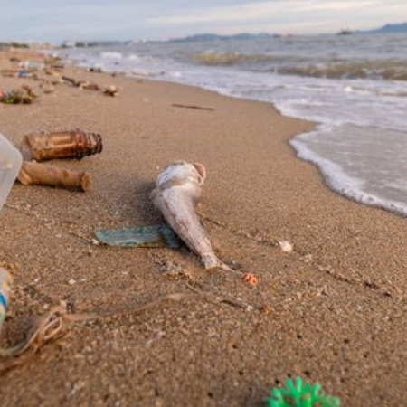 Playas bonaerenses bajo plástico