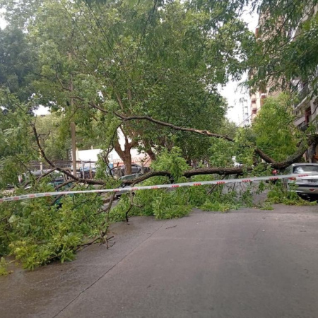 Temporal en Mar del Plata: fuertes ráfagas causan destrozos en la Ciudad