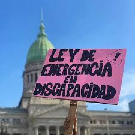 La Justicia le puso plazo al Gobierno: la Ley de Emergencia en Discapacidad debe aplicarse desde el 4 de febrero