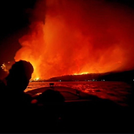 La UCR propone incorporar el 'ecocidio' al Código Penal y denuncia subejecución de fondos