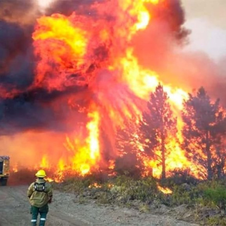 Incendios sin respuesta: Milei ajusta, Torres calla y Chubut se quema