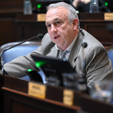 Proyecto de ley busca regular el uso de imágenes creada por inteligencia artificial en la PBA