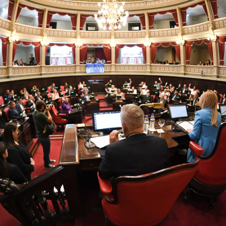 Impulsan la Creación de la Comisión de Mujeres y Diversidades en el Senado Bonaerense