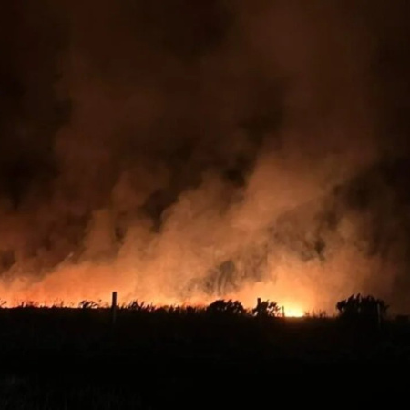 Incendio forestal en Mar del Plata: más de 200 hectáreas arrasadas