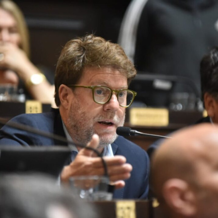 Impulsan una ley integral sobre síndrome de Down en la Provincia