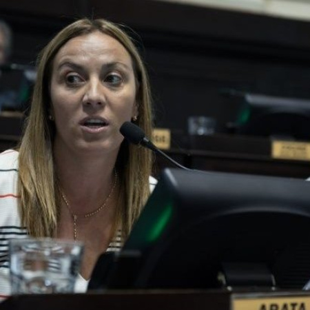 “Es un ajuste a la salud de millones”: Arata presentó un repudio en el Senado bonaerense por el recorte al Remediar