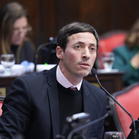 Bordaisco presentó una ordenanza para prohibir el contacto con fauna marina y fijar sanciones