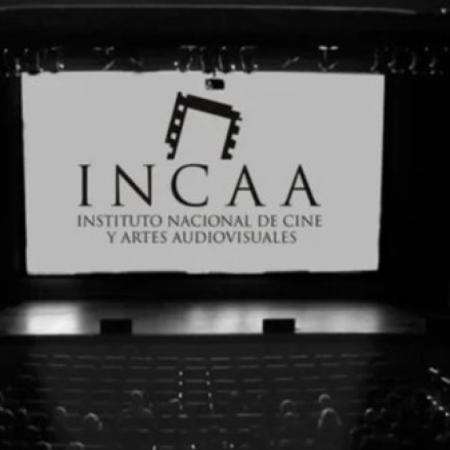 Impulsan derogar el INCAA bonaerense y apuntan al gasto público