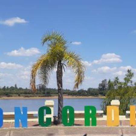 De Misiones a Entre Ríos: Concordia busca replicar el modelo emprendedor que impulsa Alem