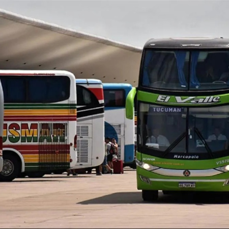 El Gobierno eliminó subsidios para pasajes gratuitos de personas con discapacidad
