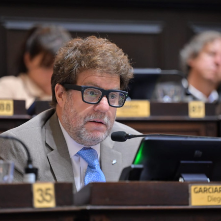 Avanza en Diputados una iniciativa para ampliar derechos de personas con síndrome de Down