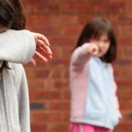 Proponen crear un Observatorio contra la Violencia Escolar en la provincia