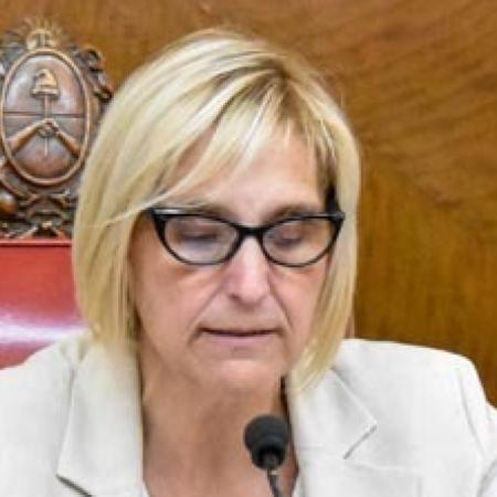 La UCR de Mar del Plata rechaza cambios en el régimen de Zona Fría y pide mantener el beneficio para General Pueyrredón  