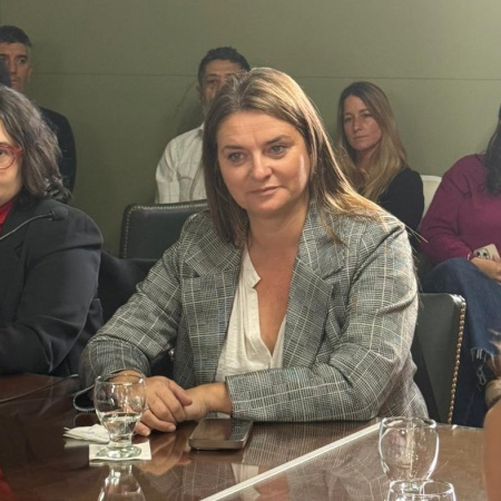 Neumann presentó dos proyectos por la crisis del IOMA y apuntó a la deuda con municipios