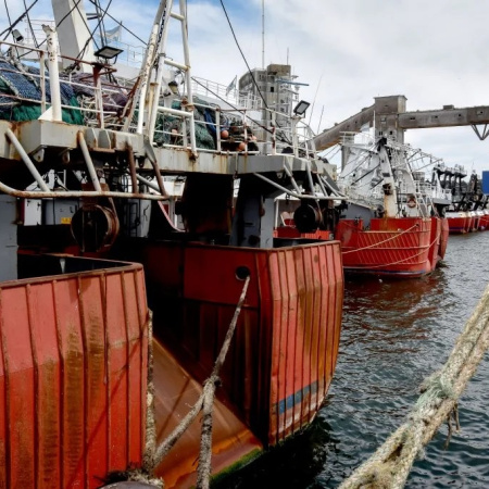 Pesca fresquera pidió al Consejo Federal Pesquero declarar la emergencia del sector por “quebranto estructural”