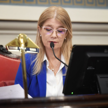 Magario convocó al Senado bonaerense y habrá sesión ordinaria el 24 de junio