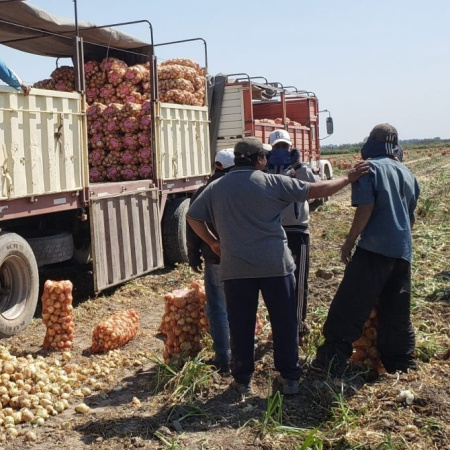 Trabajadores rurales cobrarán desde $1.088.000 en junio: Trabajo homologó la nueva escala de UATRE