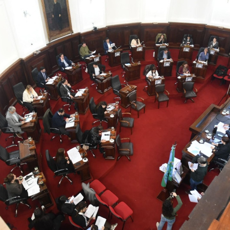 Plantean que vecinos de La Plata definan contravenciones graves con jurado popular