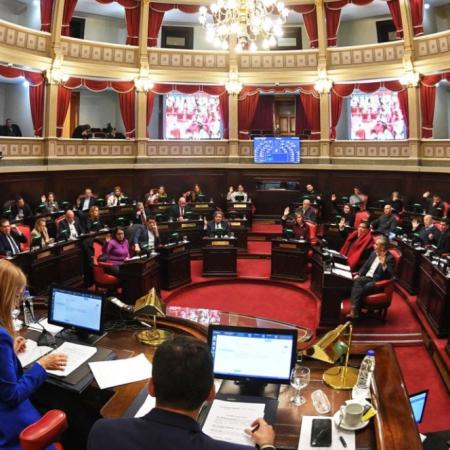 El Senado mostró lo que el PJ bonaerense ya no puede disimular